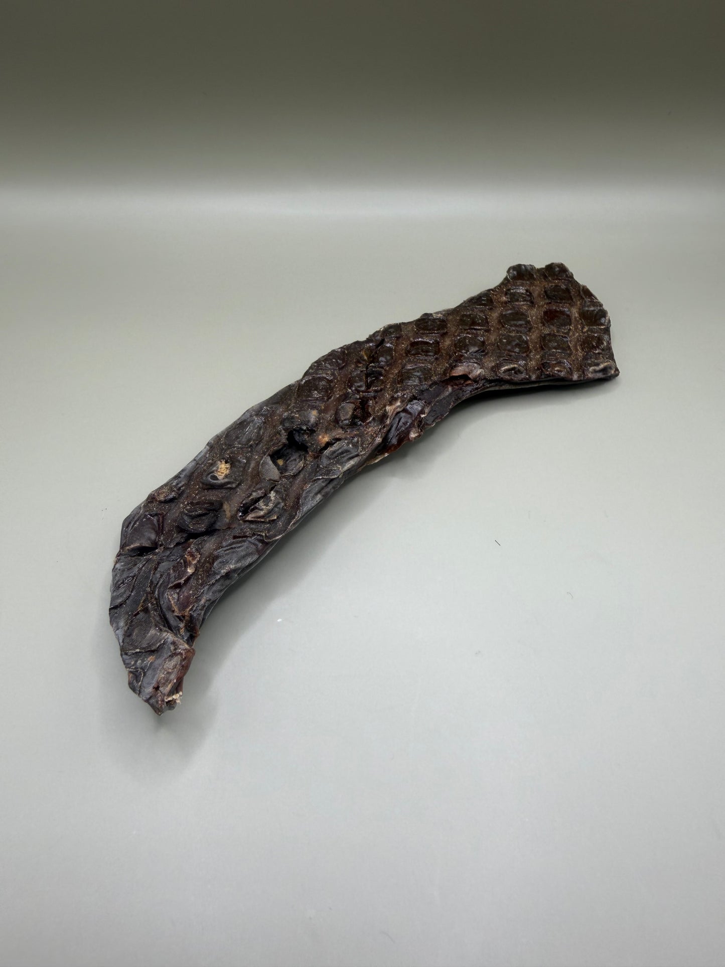 Ostrich Liver | Natural Dog Treat | Bloom & Forage
