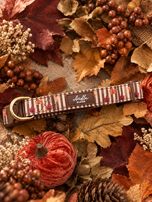 Autumn Dog Collar | Burnished Boughs Adjustable Dog Collar | Brown & Burgundy Leaf Print | Lockable