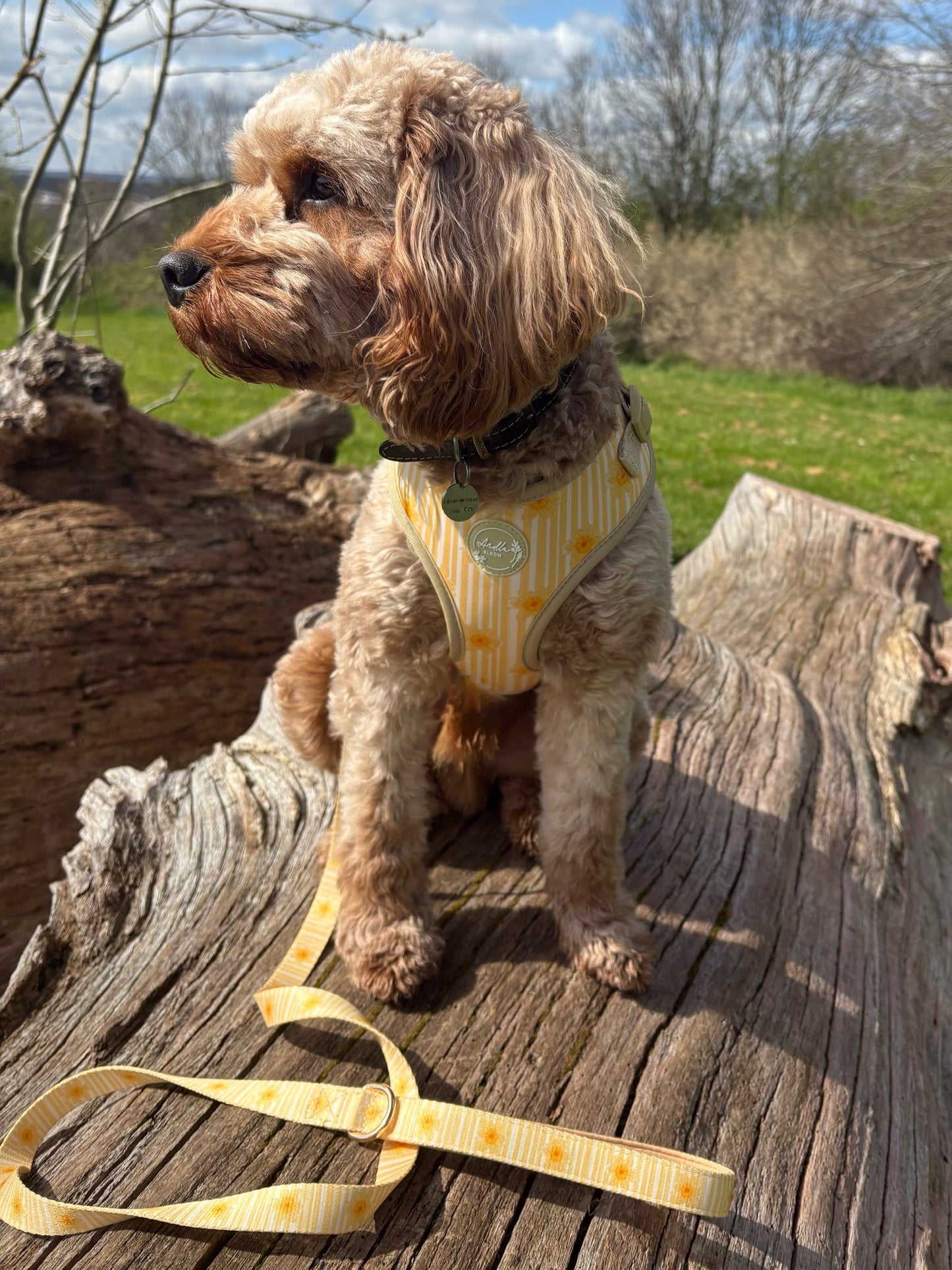 Gilded Garden Adjustable Neck Harness