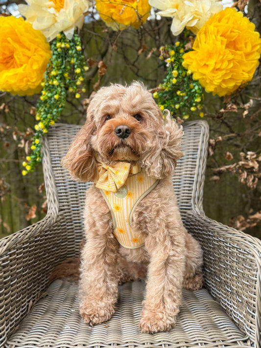 Gilded Garden Adjustable Neck Harness