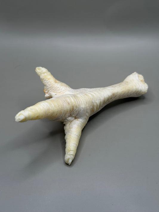 Puffed Chicken Feet Dog Treats | Natural Air Dried Dental Chew