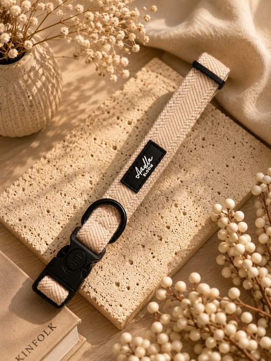 Entwilled Elegance Twill Adjustable Collar