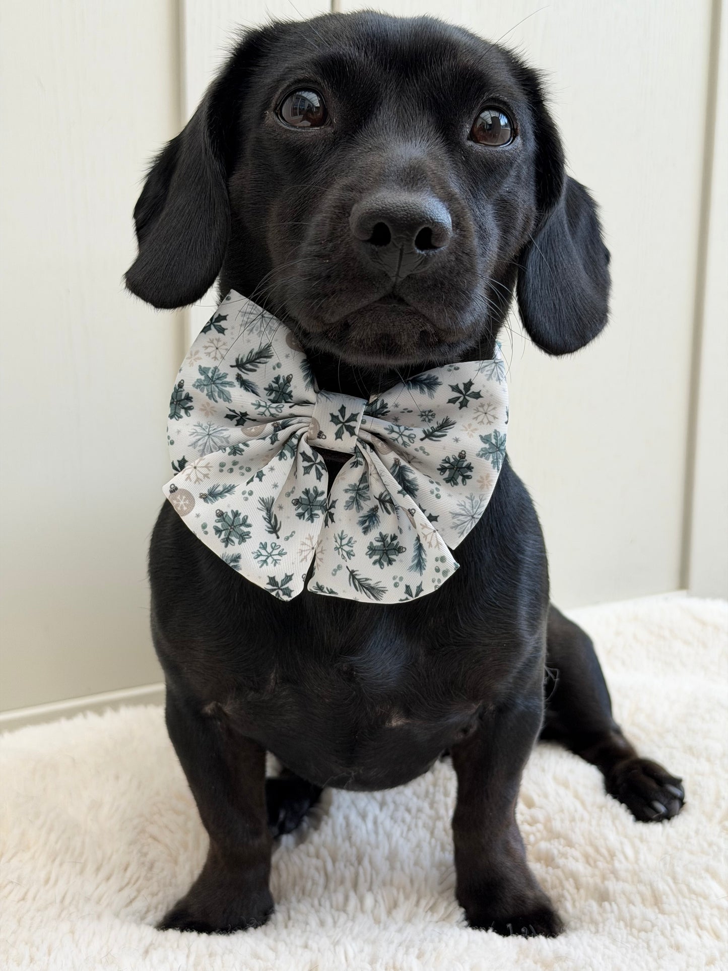 Snowfall & Sage Sailor Bow