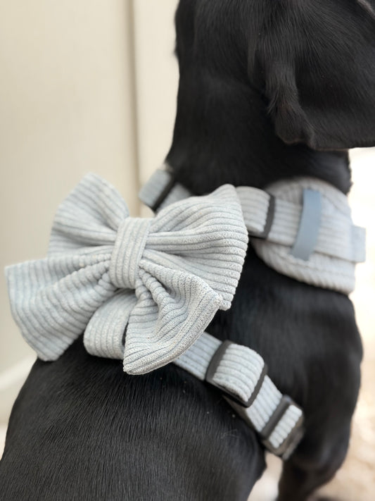 Serene Shores Adjustable Harness