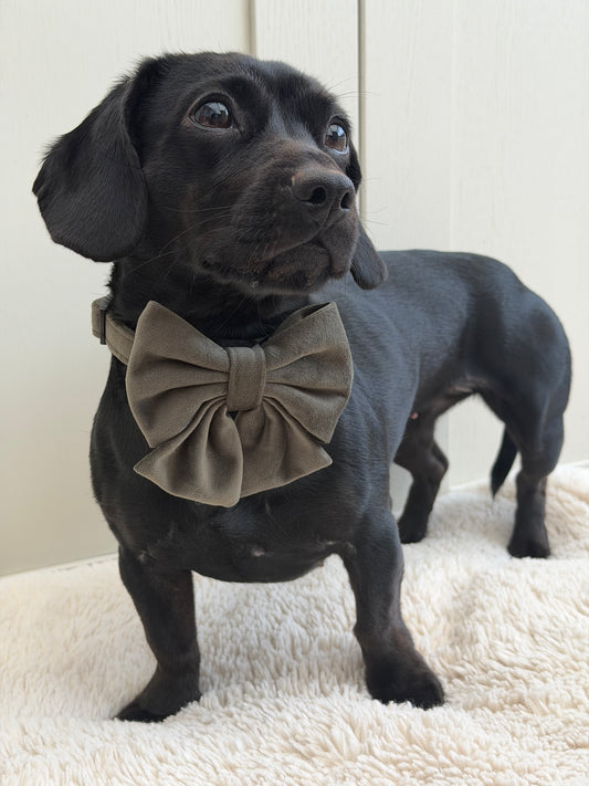 Moorland Muse Green Velvet Sailor Bow Tie