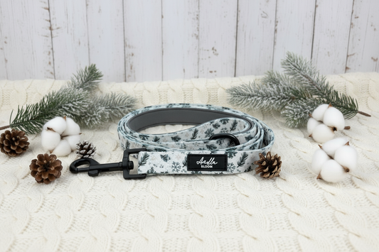 Lead with winter background