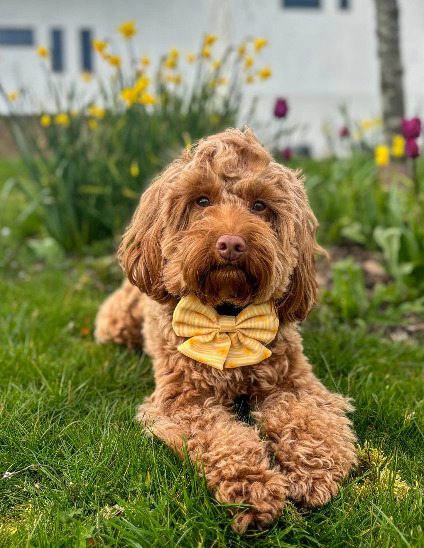 Gilded Garden Sailor Bow