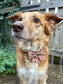 Autumn Dog Bow | Sailor Bow Dog Accessory | Brown Burgundy Leaf Print | Fall Dog Bow | Matching Dog Bow | Burnished Boughs