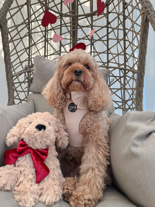 Entwilled Elegance Twill Adjustable Neck Harness