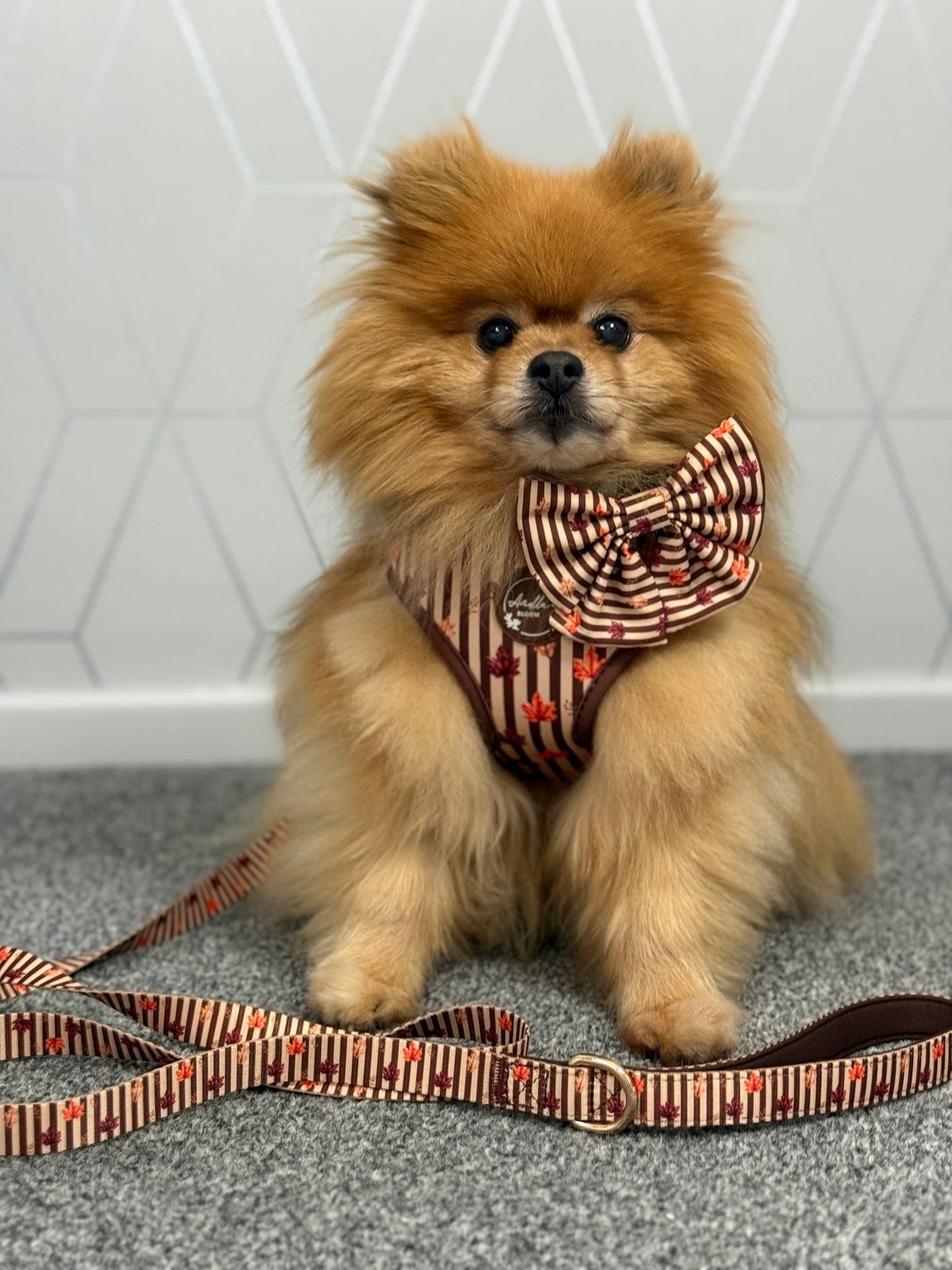 Autumn Dog Lead | Burnished Boughs Dog Lead | Brown & Burgundy Leaf Print