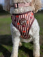 Autumn Dog Harness | Burnished Boughs | Padded Neoprene, Adjustable Fit