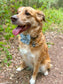 Serene Shores Blue Cord Sailor Bow