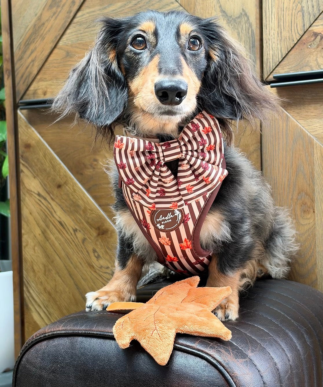 Autumn Dog Bow | Sailor Bow Dog Accessory | Brown Burgundy Leaf Print | Fall Dog Bow | Matching Dog Bow | Burnished Boughs