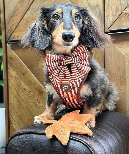 Autumn Dog Bow | Sailor Bow Dog Accessory | Brown Burgundy Leaf Print | Fall Dog Bow | Matching Dog Bow | Burnished Boughs