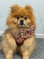 Autumn Dog Bow | Sailor Bow Dog Accessory | Brown Burgundy Leaf Print | Fall Dog Bow | Matching Dog Bow | Burnished Boughs