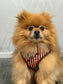 Autumn Dog Harness | Burnished Boughs | Padded Neoprene, Adjustable Fit