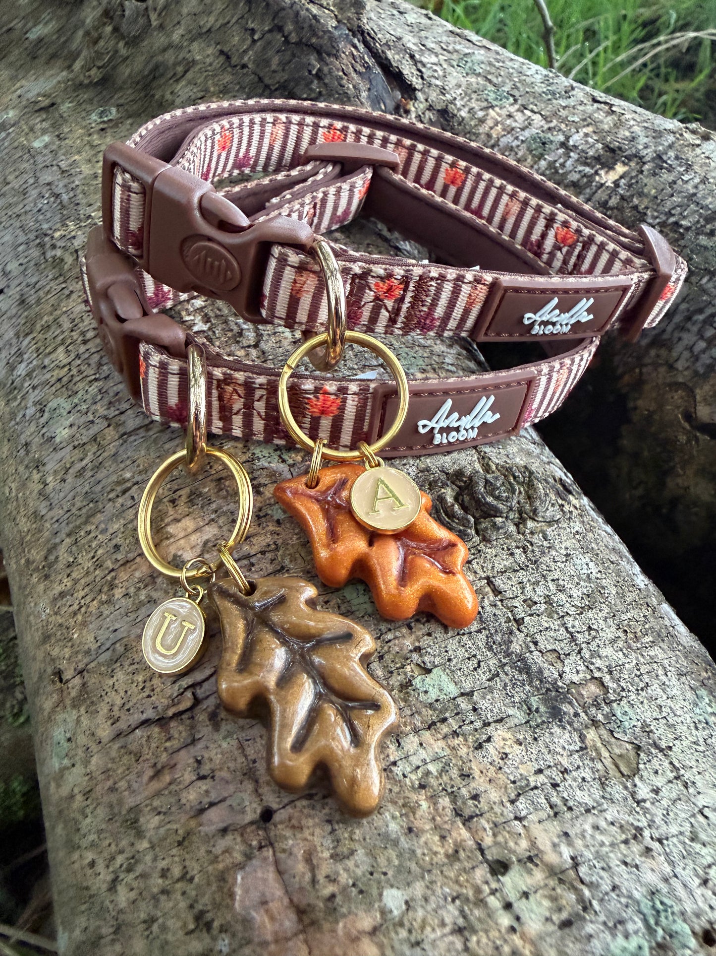 Autumn Dog Collar | Burnished Boughs Adjustable Dog Collar | Brown & Burgundy Leaf Print | Lockable