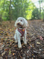 Autumn Dog Harness | Burnished Boughs | Padded Neoprene, Adjustable Fit