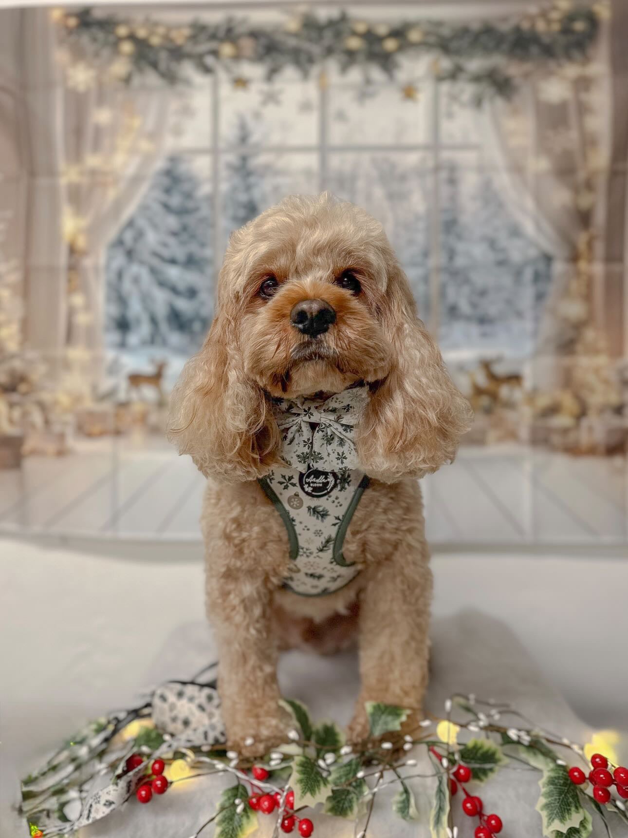 Snowfall & Sage Adjustable Harness