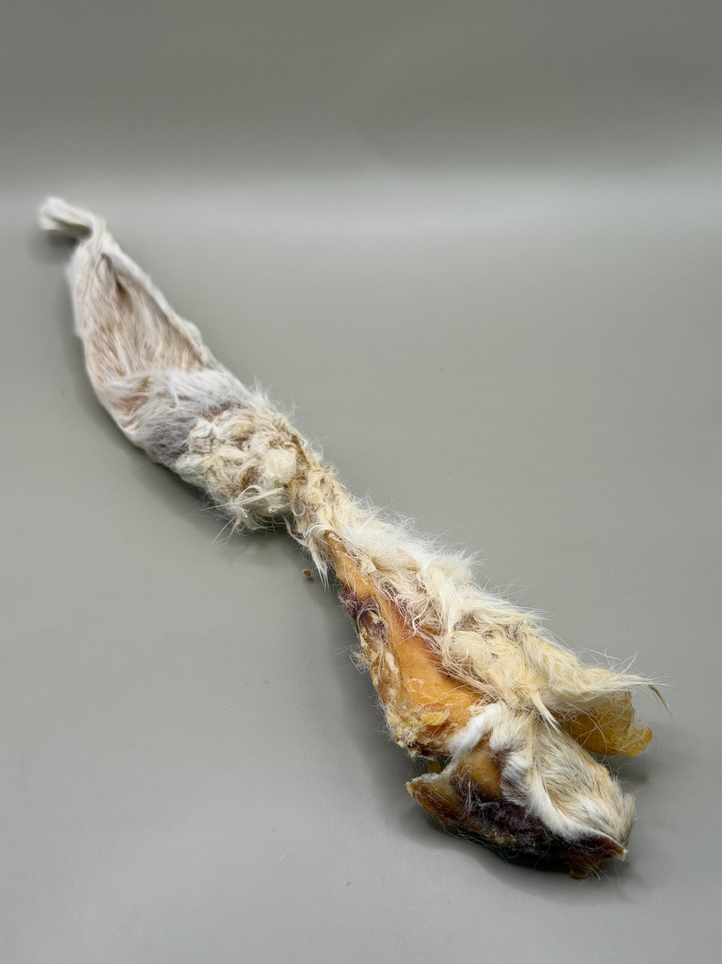 Curated Foragers Selection