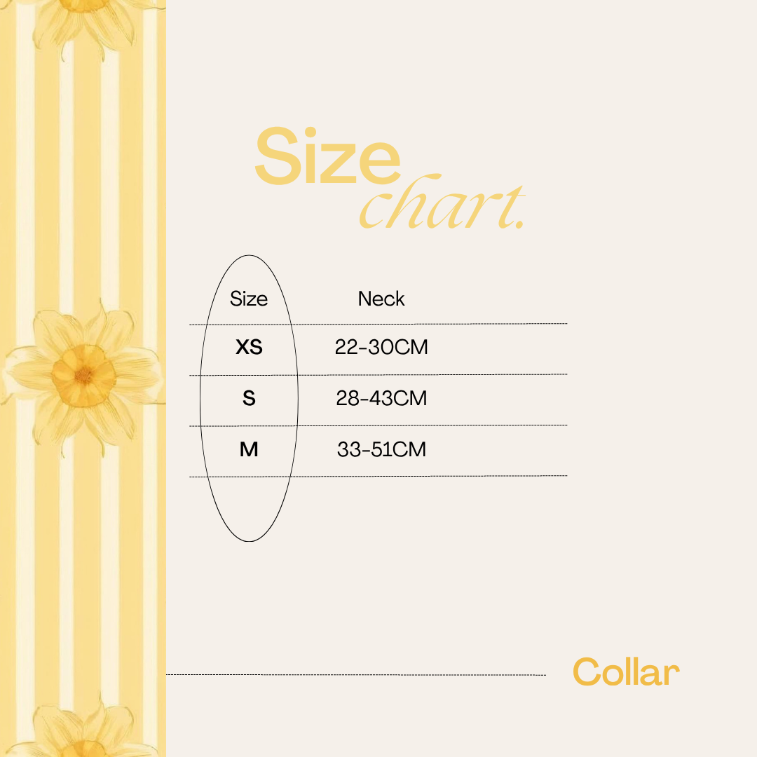 Gilded Garden Safety Collar