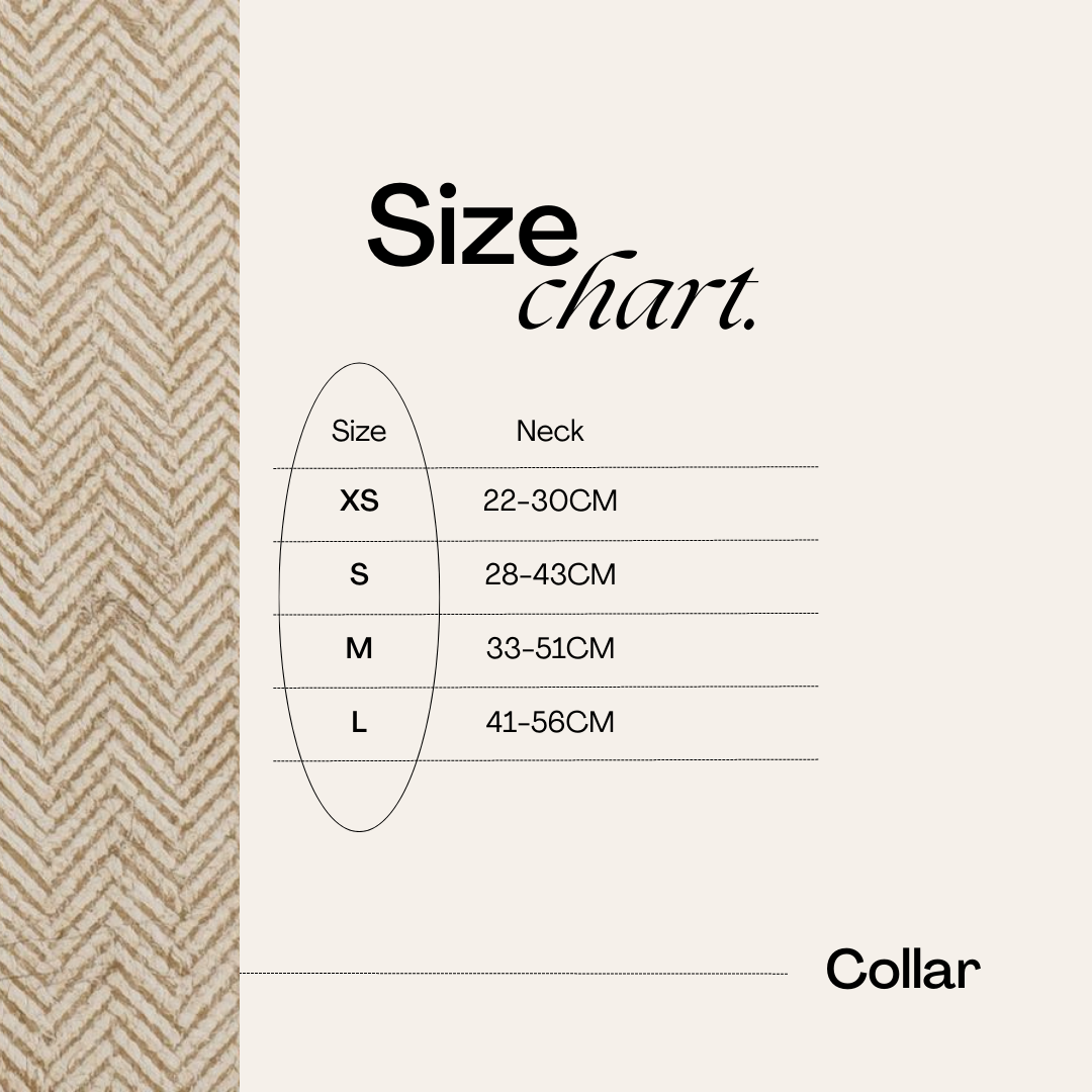 Entwilled Elegance 3 Piece Walking Set