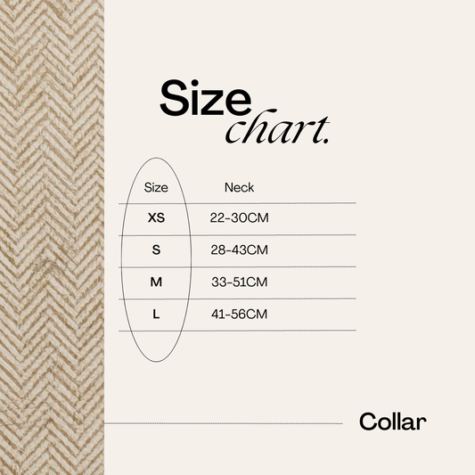 Entwilled Elegance Twill Adjustable Collar