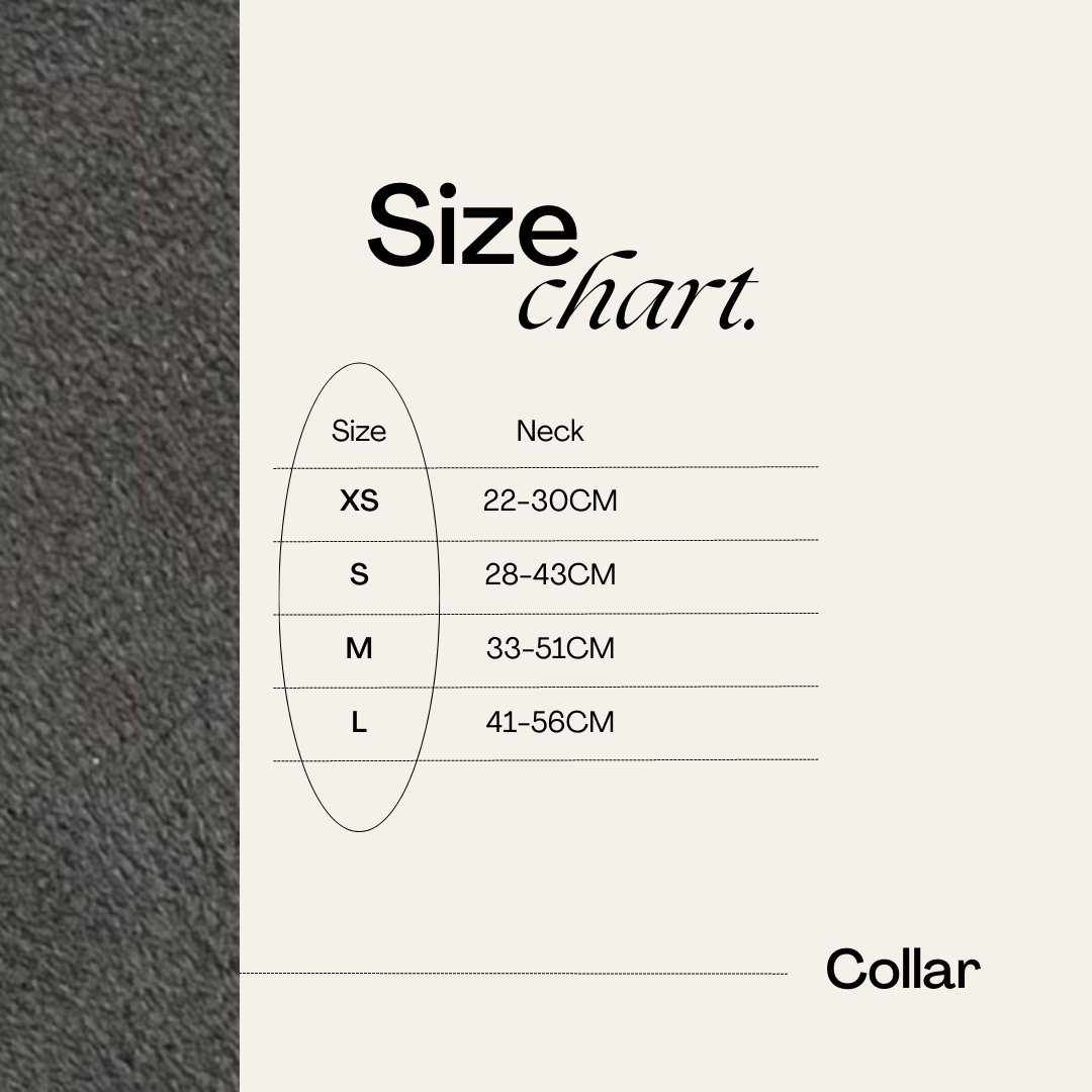 Moorland Muse Green Velvet Adjustable Collar