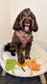 Autumn Dog Harness | Burnished Boughs | Padded Neoprene, Adjustable Fit