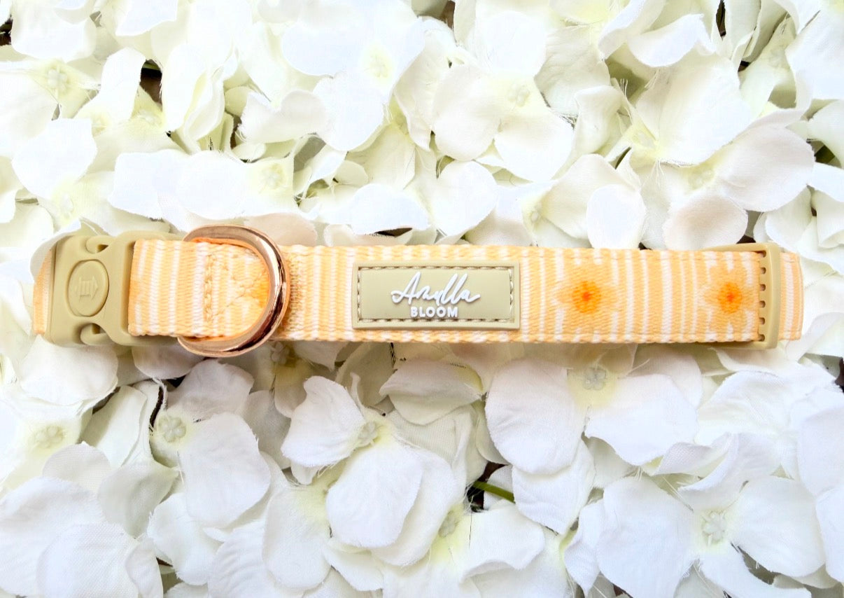 Gilded Garden Safety Collar