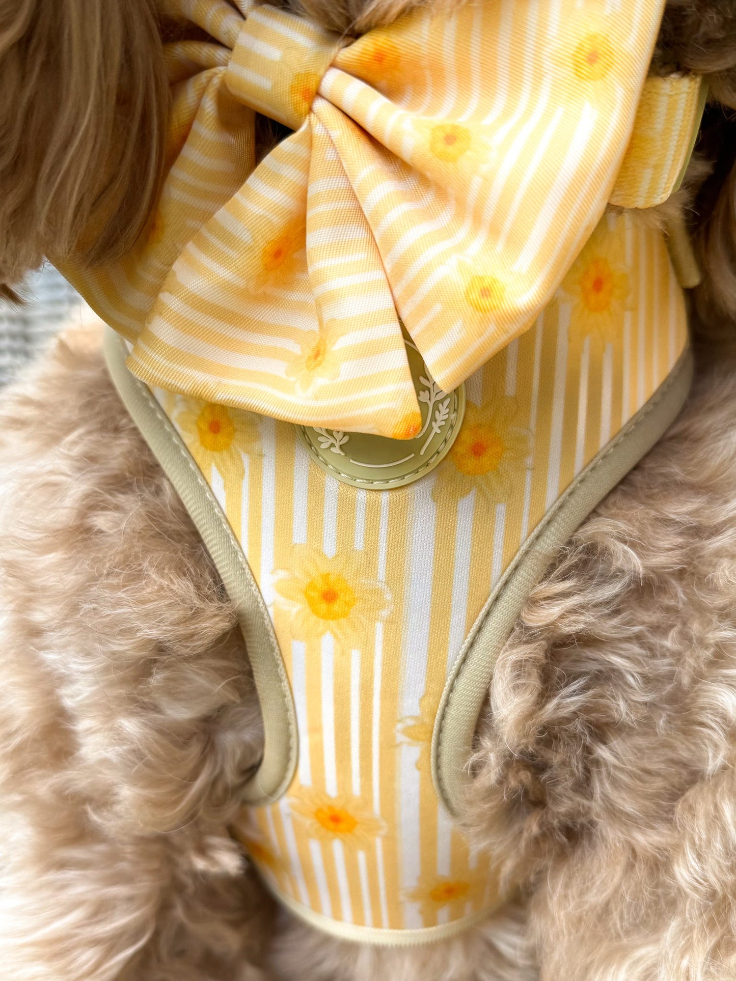 Gilded Garden Bundle Set | Luxury Dog Harness, Lead & Collar