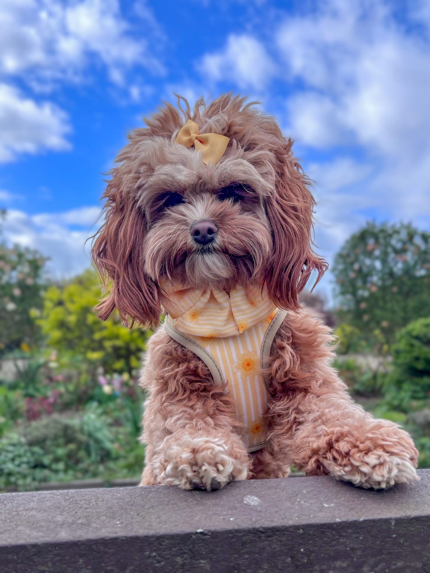 Gilded Garden Adjustable Neck Harness