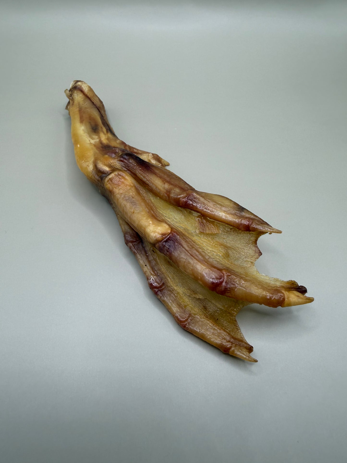 Curated Foragers Selection
