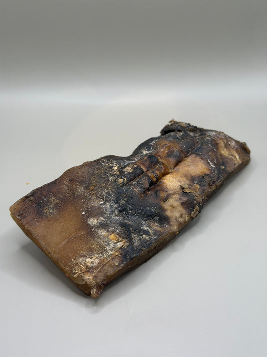 Camel Skin Dog Chews | Natural Long-Lasting Treats | Bloom & Forage