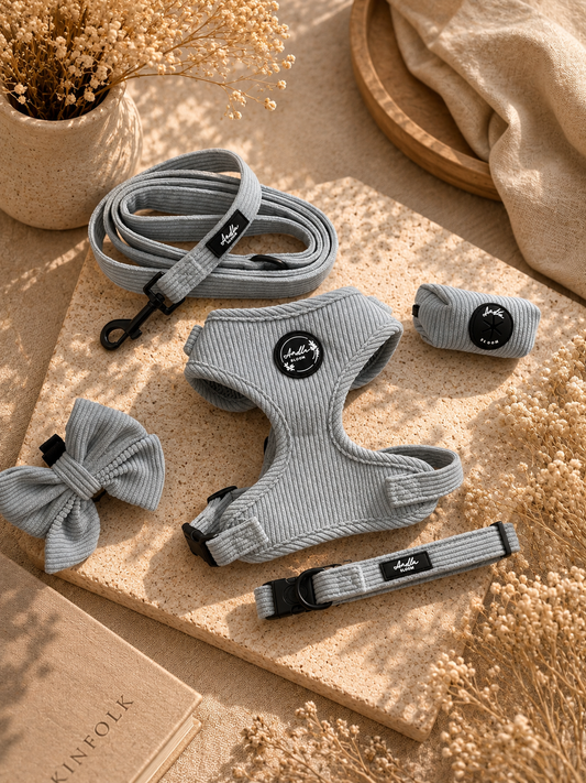 Serene Shores Cord Adjustable Neck Harness, Lead, Collar, Poo Bag Holder & Sailor Bow Bundle