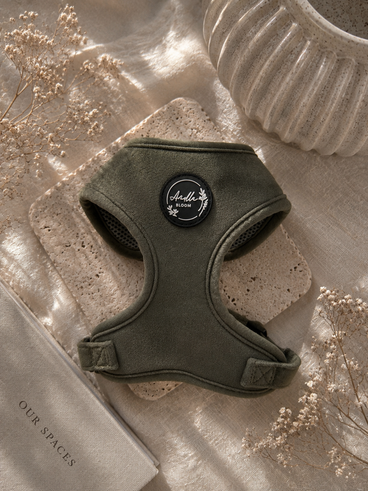 Moorland Muse Moss Green Velvet Adjustable Harness, Lead & Collar Bundle
