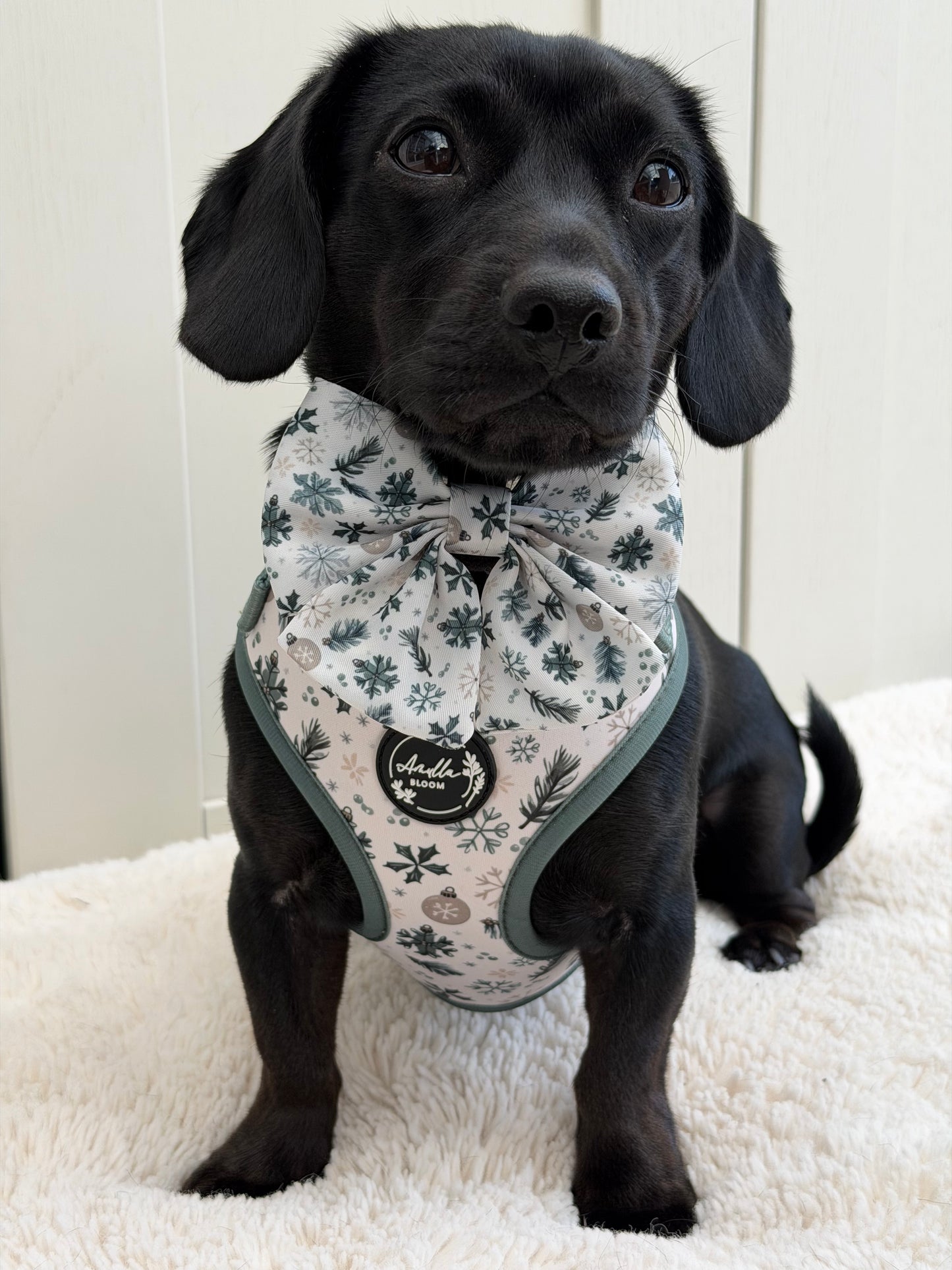 Snowfall & Sage Christmas Bundle