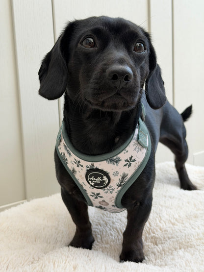 Snowfall & Sage Adjustable Harness