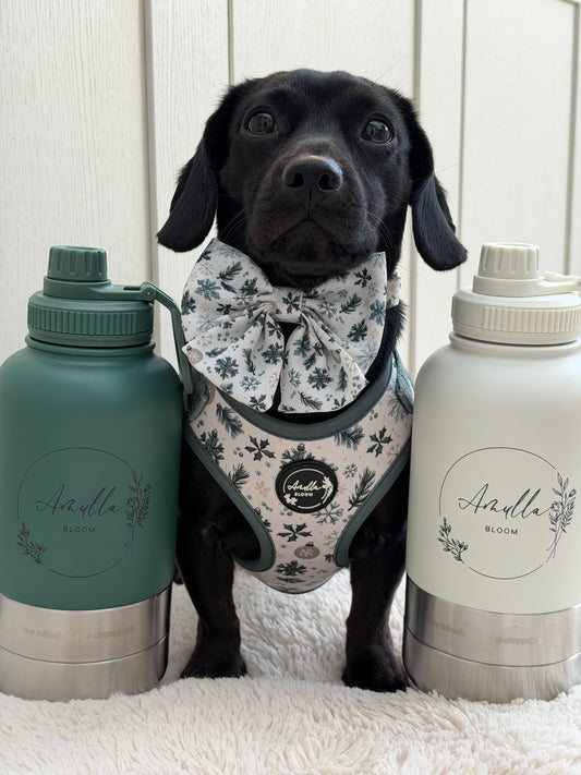 3-in-1 design 32 oz travel water bottle