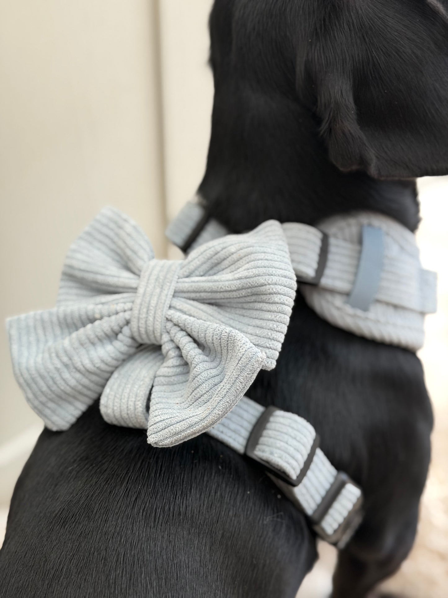 Serene Shores Adjustable Harness