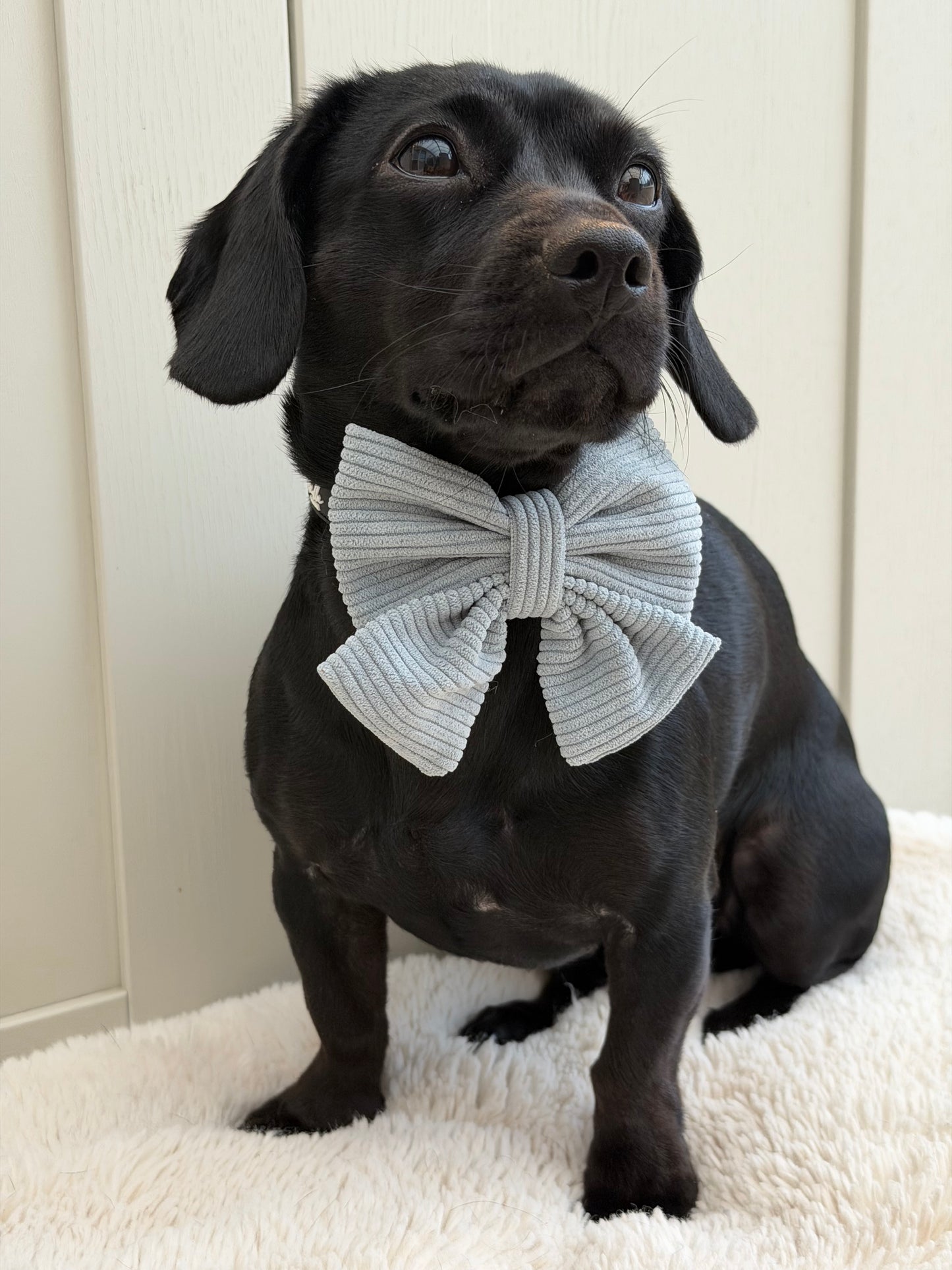 Serene Shores Sailor Bow