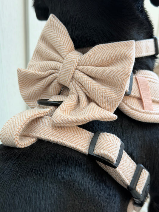 Entwilled Elegance Sailor Bow