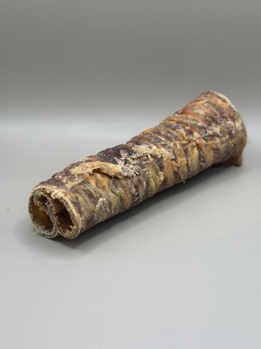 Cut Beef Trachea Natural Dog Treat | Bloom & Forage UK