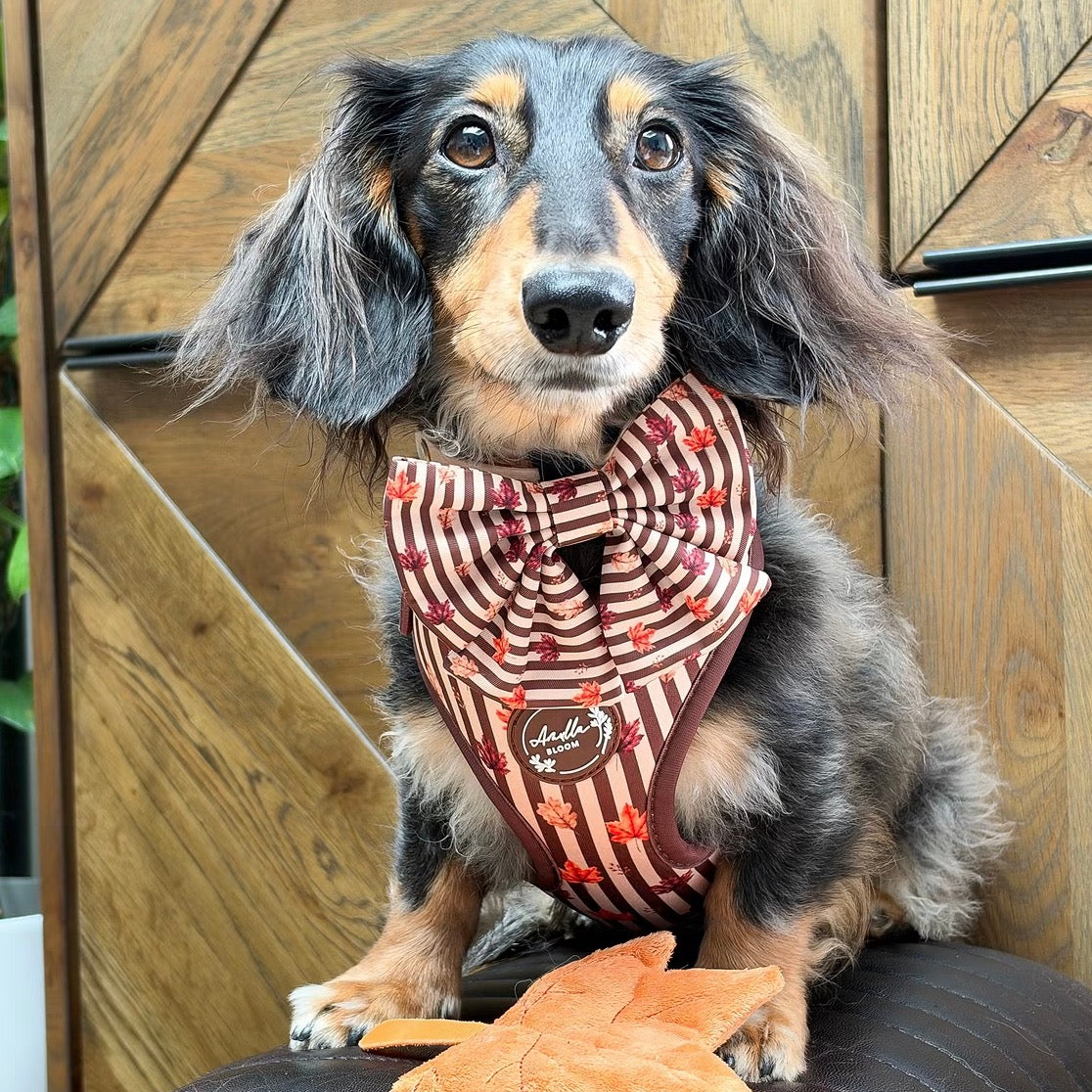 Autumn Dog Harness | Burnished Boughs | Padded Neoprene, Adjustable Fit