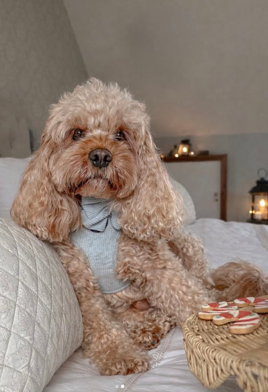 Serene Shores Adjustable Harness